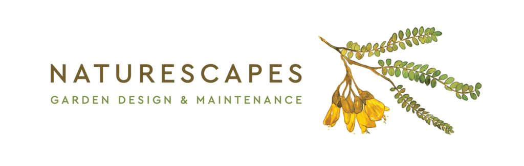 landscape and garden maintenance services west auckland