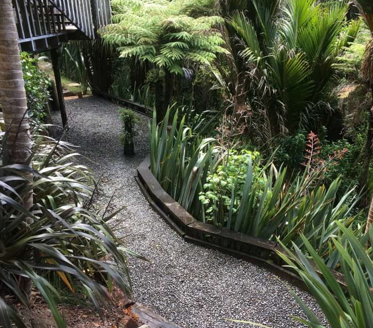 Summer Garden Care Guide for Auckland Homes