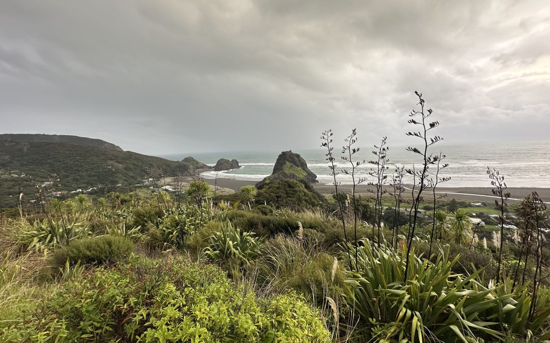 Garden Edging: The Key to a Tidy, Stylish Garden in Auckland