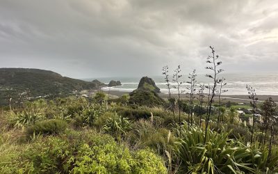 Garden Edging: The Key to a Tidy, Stylish Garden in Auckland