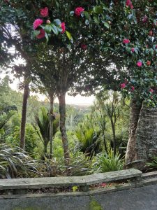 gardening services in auckland