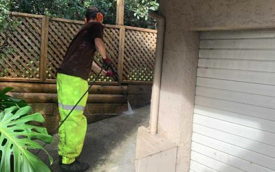 Brighten Up Your Auckland Garden This Winter with Expert Waterblasting & Professional Garden Maintenance