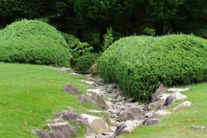 Auckland garden drainage