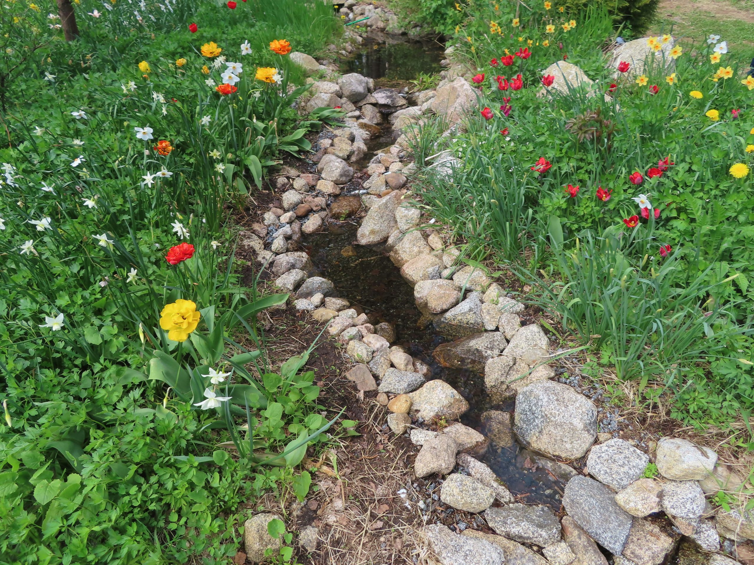 Auckland garden drainage