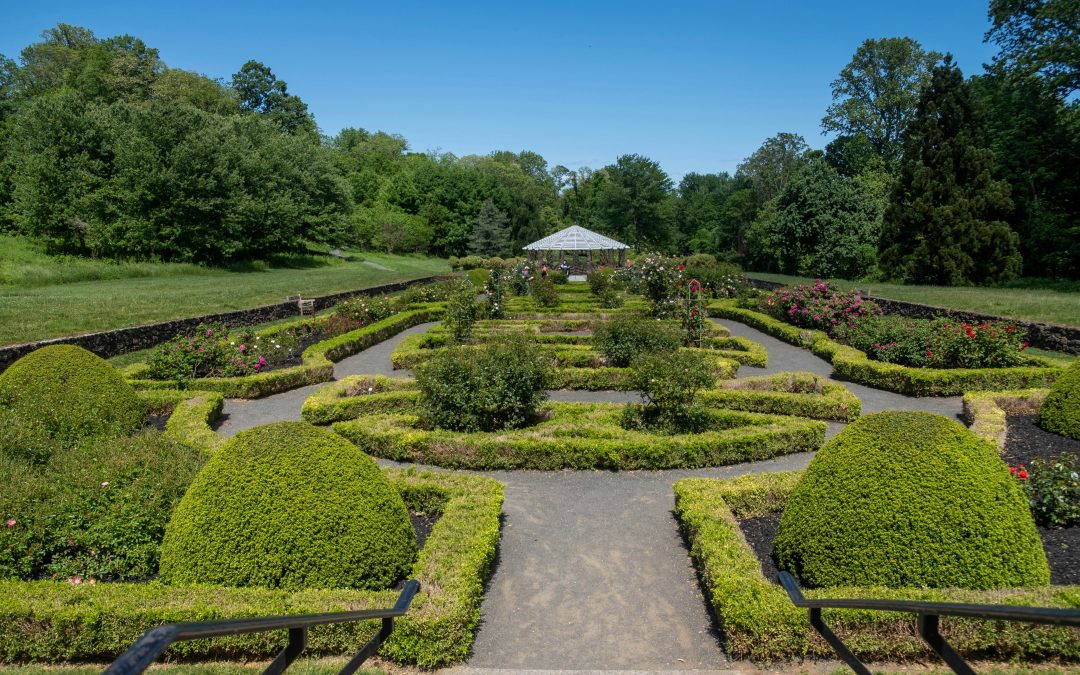 Best Garden Service Auckland | Lawn Care, Landscaping & Eco-Friendly Gardening