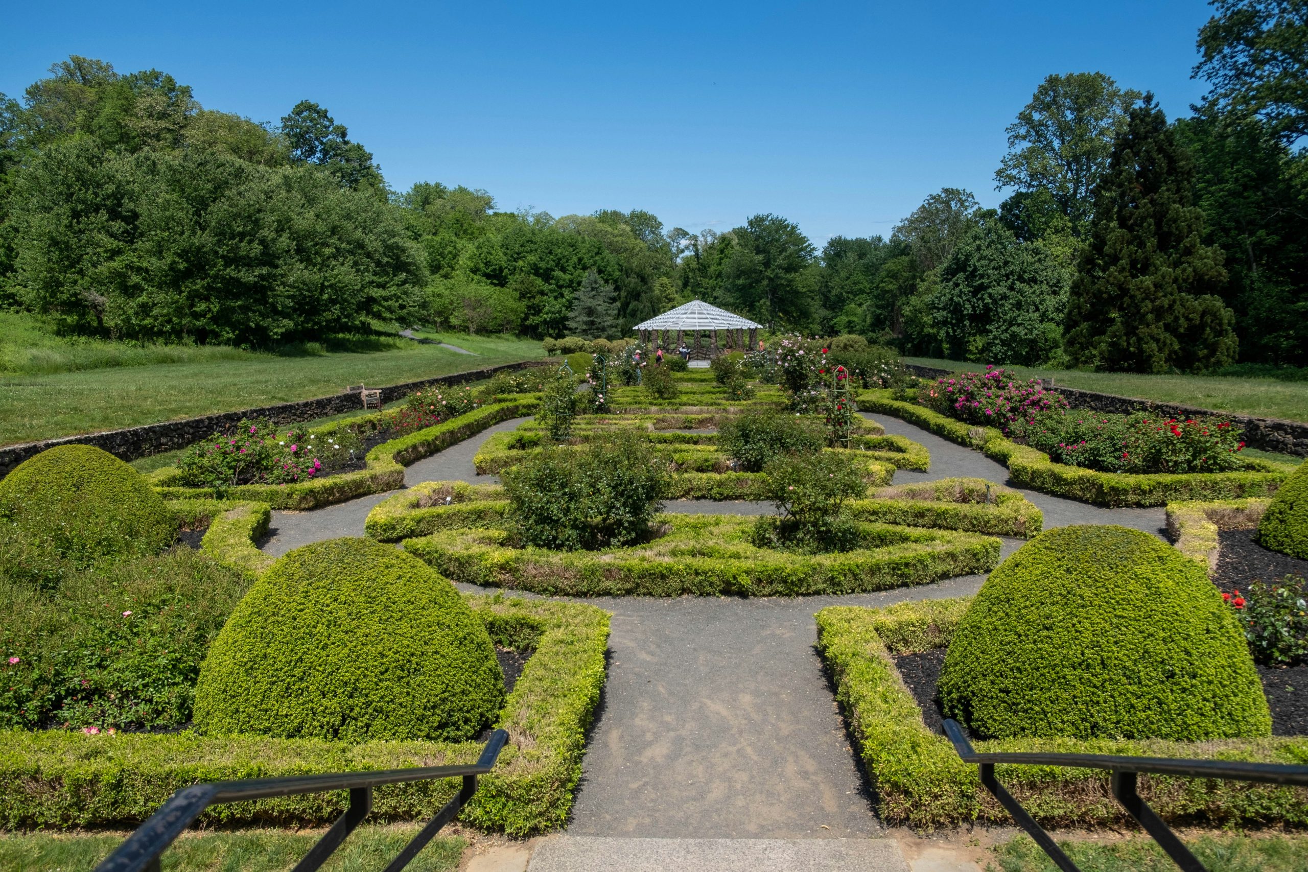 Best Garden Service Auckland | Lawn Care, Landscaping & Eco-Friendly Gardening