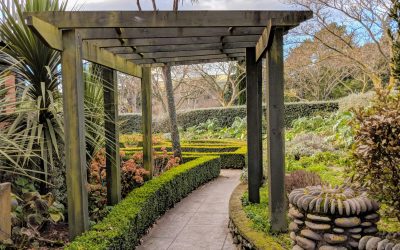 Garden Clean Up Auckland and Garden Waste Removal 2026