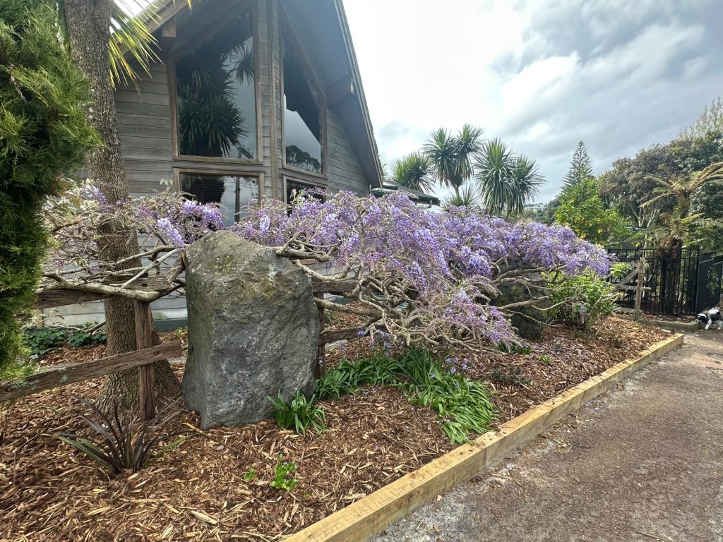 Garden Service Auckland Summer Moisture Tips for Healthy Gardens