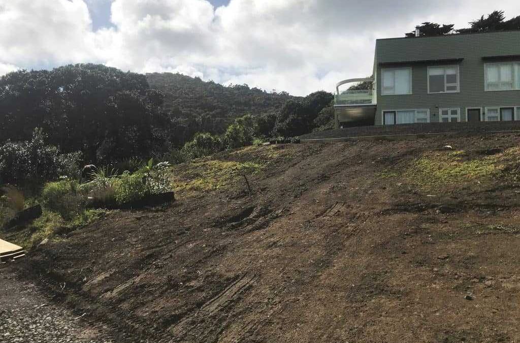 Auckland Lifestyle Block Maintenance: Turning Hard Work into an Effortless Oasis
