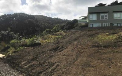 Auckland Lifestyle Block Maintenance: Turning Hard Work into an Effortless Oasis