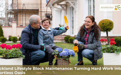 Auckland Lifestyle Block Maintenance: Turning Hard Work into an Effortless Oasis