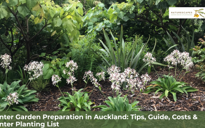 Winter Garden Preparation in Auckland: Tips, Guide, Costs & Winter Planting List