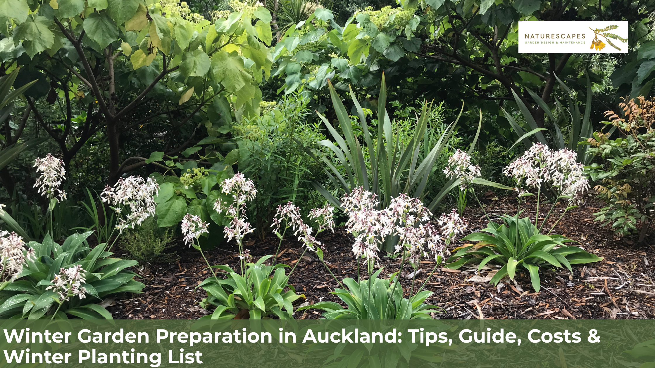 Winter Garden Preparation in Auckland