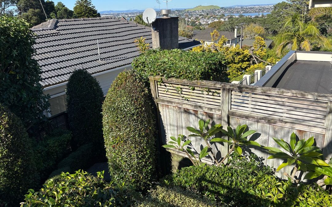 Modern Landscape and Garden Design Auckland: Expert Guide 2026