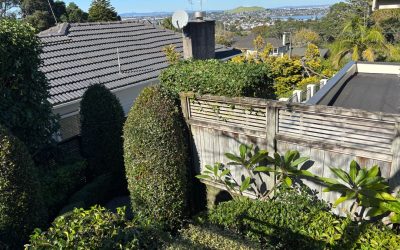 Modern Landscape and Garden Design Auckland: Expert Guide 2026