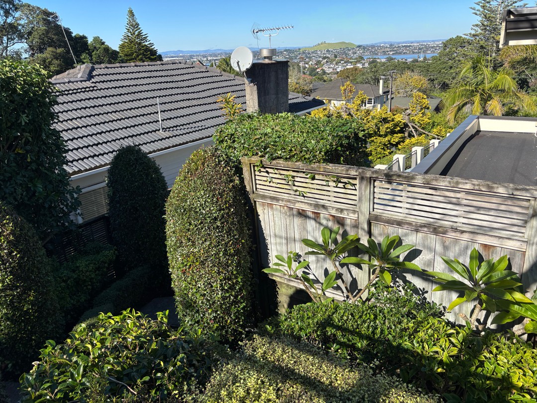Landscape and Garden Design in Auckland