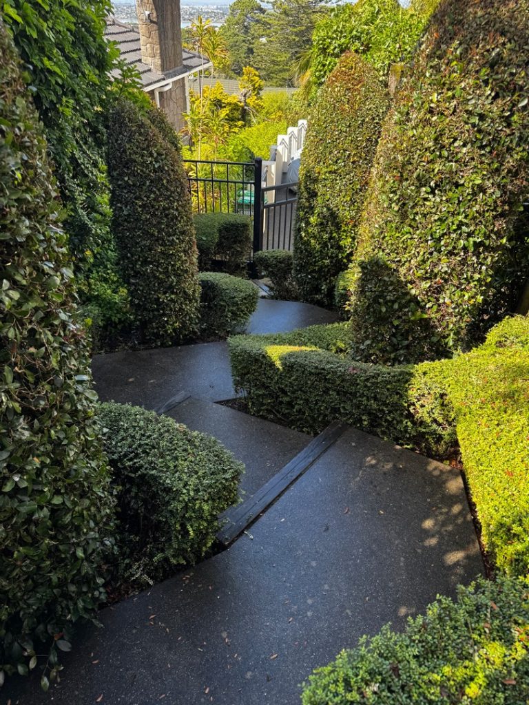 Landscape and Garden Design in Auckland