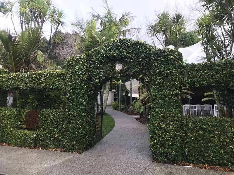naturescape-green-bay-in-auckland