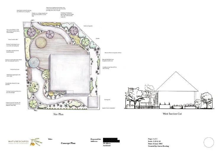 Landscape-gardener-in-auckland.webp