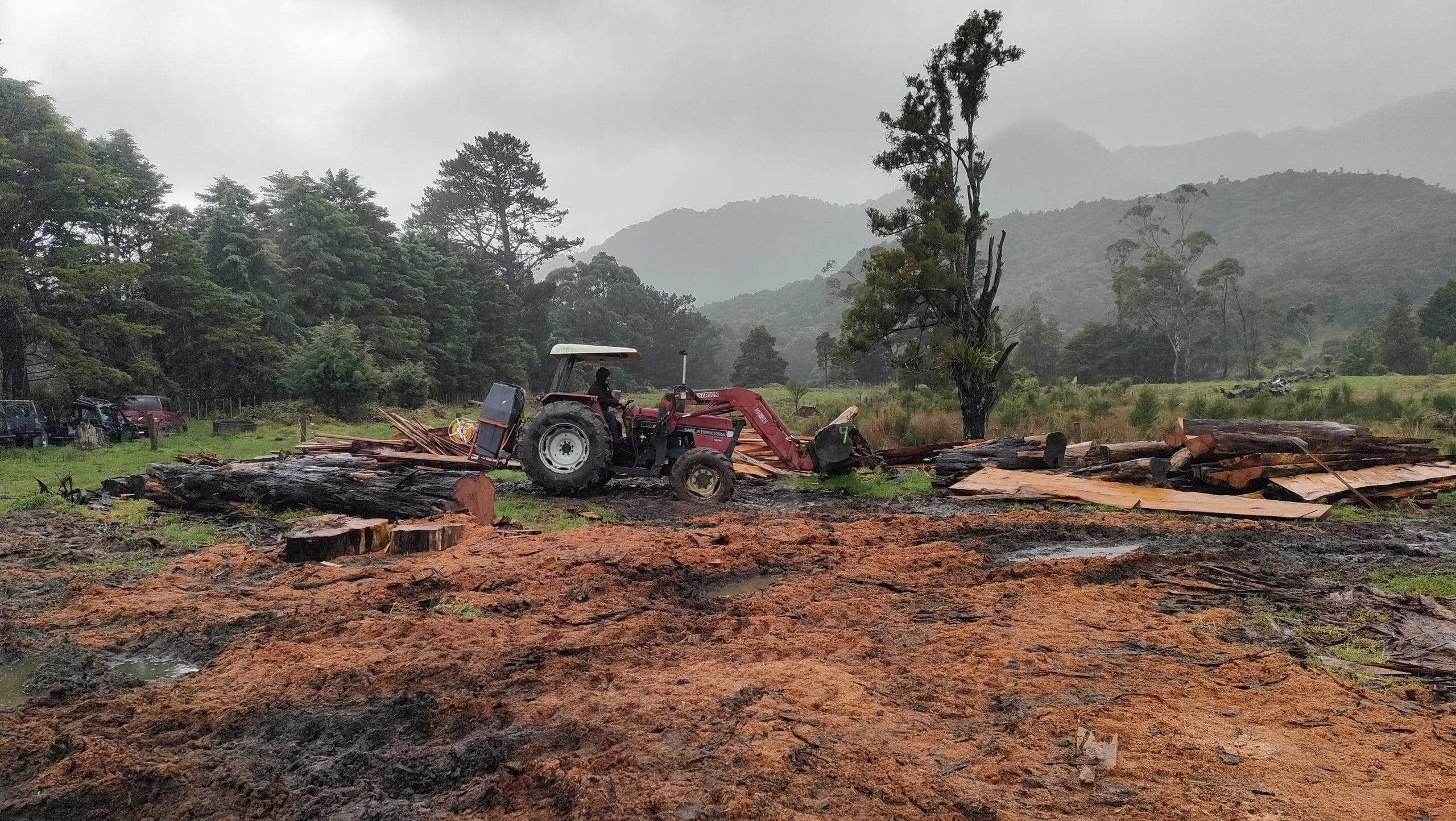 arborist vs landscaper Northland