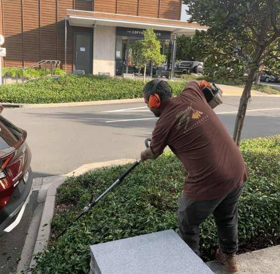 waterblasting Auckland